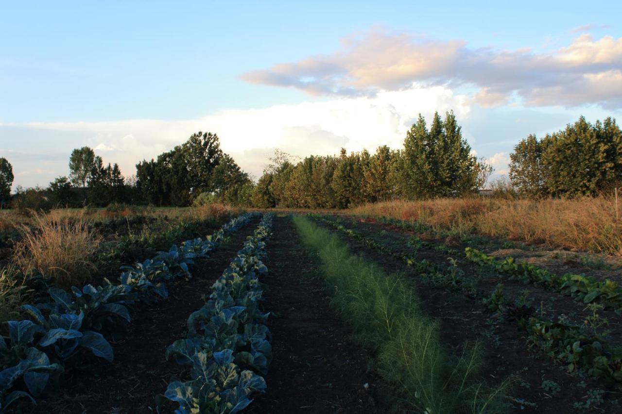 Agriturismo Corte Lidia Bellaguarda Eksteriør billede